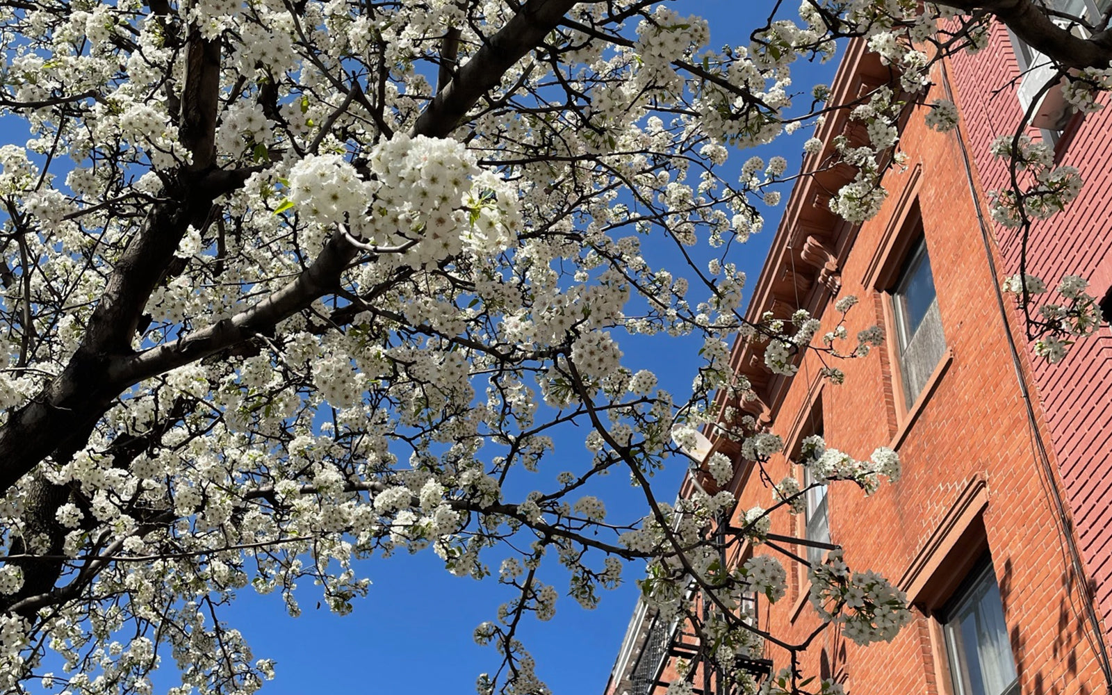 Neu Destinations: Greenpoint Brooklyn